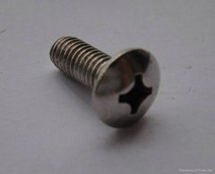 Cross Recessed Mushroom Head Screw