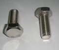 Hexagon Head Cap Bolt 1