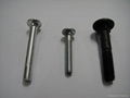 Round Head Square Neck Carriage Bolt 1