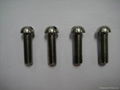 Slotted Capstan Screw