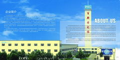 Shandong Bester Elevator Co. Ltd