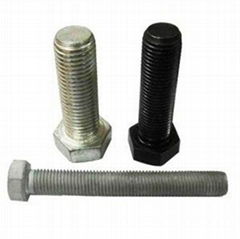 heavy hex bolts DIN 931/933