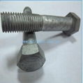 ASTM A307 Hex Bolts 2