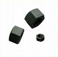 Hex Nuts DIN 934 1