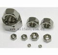 Hex Nuts DIN 934 2