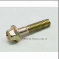 DIN 6921 Flange Bolts 1