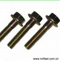 DIN 6921 Flange Bolts 2