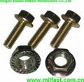 DIN 6921 Flange Bolts 4