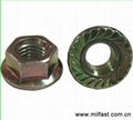 Hex Flange Nuts (DIN 6923) 3