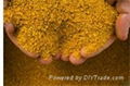 Corn Gluten Meal 60% Feed Additive