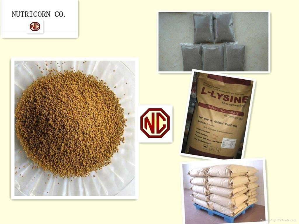 Nutricorn 70% Feed Grade Lysine with High Quality