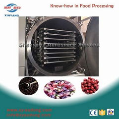 vacuum freeze dryer equipment