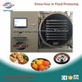 fruit vacuum dryer 1