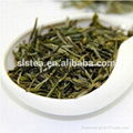 chinese famous green tea huangshan