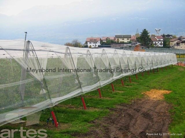 100% Virgin HDPE Anti Insect Netting 3