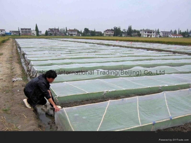 100% Virgin HDPE Anti Insect Netting 4