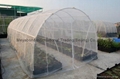 greenhouse net 40 mesh anti insect net 1