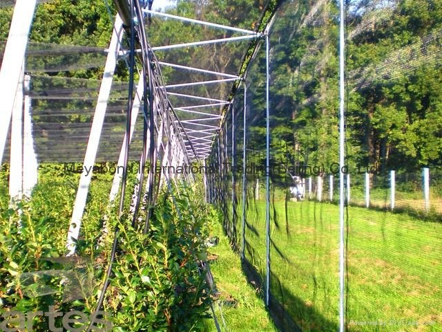 greenhouse net 40 mesh anti insect net 4