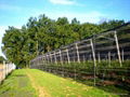 greenhouse net 40 mesh anti insect net 3