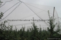 100% virgin HDPE knitted anti hail net 2