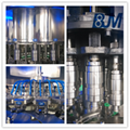 Fully Automatic Beer Filling Machine