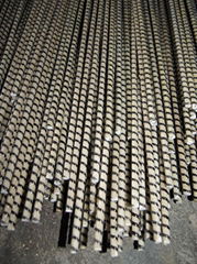 Fiberglass rebar