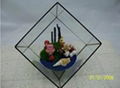 garden decoration craft glass terrarium