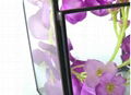 wholesale hanging geometric glass terrarium flower in greenhouse box 2