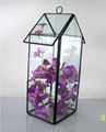 wholesale hanging geometric glass terrarium flower in greenhouse box 5