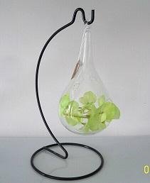 Free Shipping Hanging Glass Terrarium for air plant 1