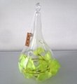Free Shipping Hanging Glass Terrarium for air plant 5