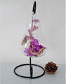 wholesale Pear shape hanging glass vases for home decoration