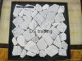 White marble stone irregular