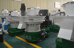 New Design Biomass Wood Pellet Machine /