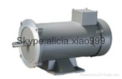 12-220V Permanent magenet DC motor 3