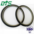 PTFE/PU Hydraulic Rod Seals