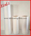 XinLi anti scratch thermal film