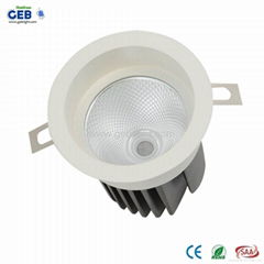 8W/12W CRI>80 Recessed COB Downlight with 85-265V AC Input Voltage