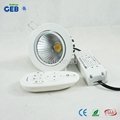 Dual White COB Downlight Dimmable Controlled by Android/iPhone APP 2