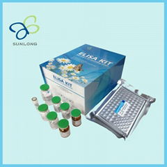 Human Beta-Endorphin,beta-EP ELISA Kit