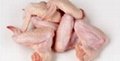 Grade A Halal Frozen Whole Chicken and Parts