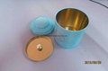 Wholesale Metal tea tin box with handle 2