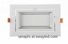 21W customize rectangular led downlight Complete in specifications