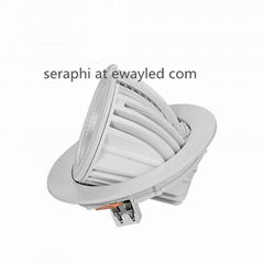 high lumen Round elephant nose led downlight 30w