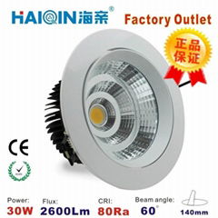 Haiqin LED COB spotlight 25W/30W white