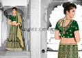 Bridal Lehenga Choli Online Shopping 2