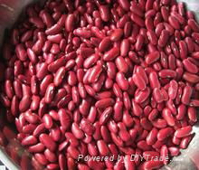 Red Kidney Beans