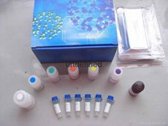 Mouse Super Oxidase Dimutase ELISA Kit