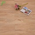 廠家佛山批發辦公展廳防水木紋塑膠地板 3