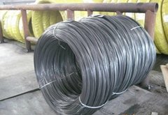Manufacture Sold And Factory Price!!ss 446 Stainless Steel Wire